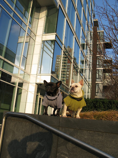 Here we are having our photo taken in front of a Richard Meier building in the West Village.