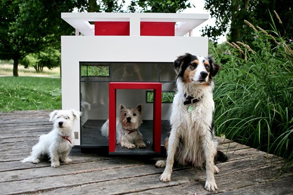 [cubix-dog-mansion%255B5%255D.jpg]