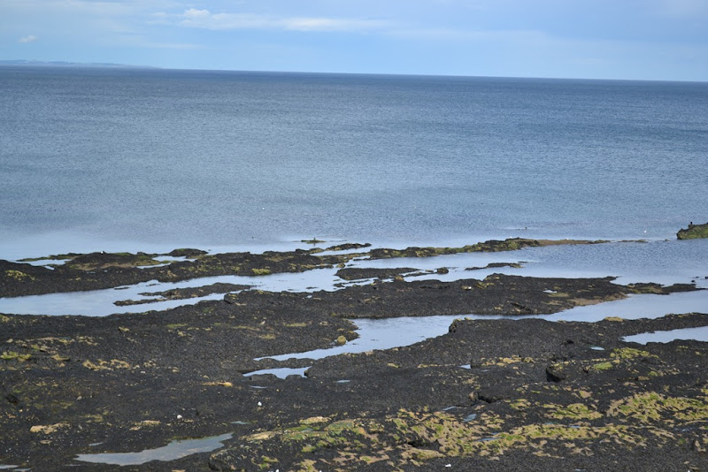 DSC_0187