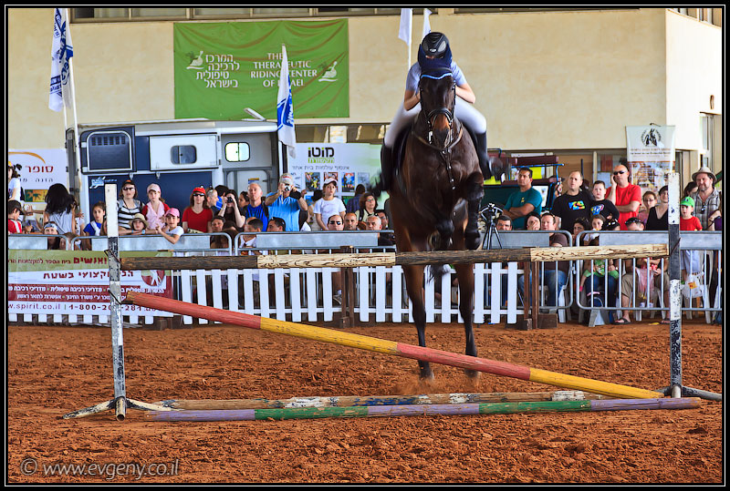 il/Фото: Stallion Show 2011 (20110416 stllion show 012 2012)