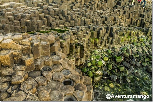 Giant Causeway - Irlanda do Norte (12) Giant Causeway - Irlanda do Norte (12)