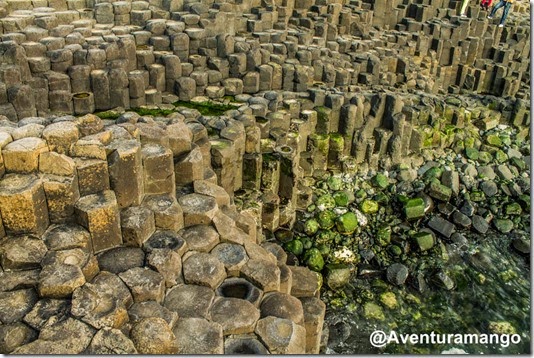 Giant Causeway - Irlanda do Norte (12)