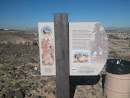 Whitney Mesa Recreation Area Trail