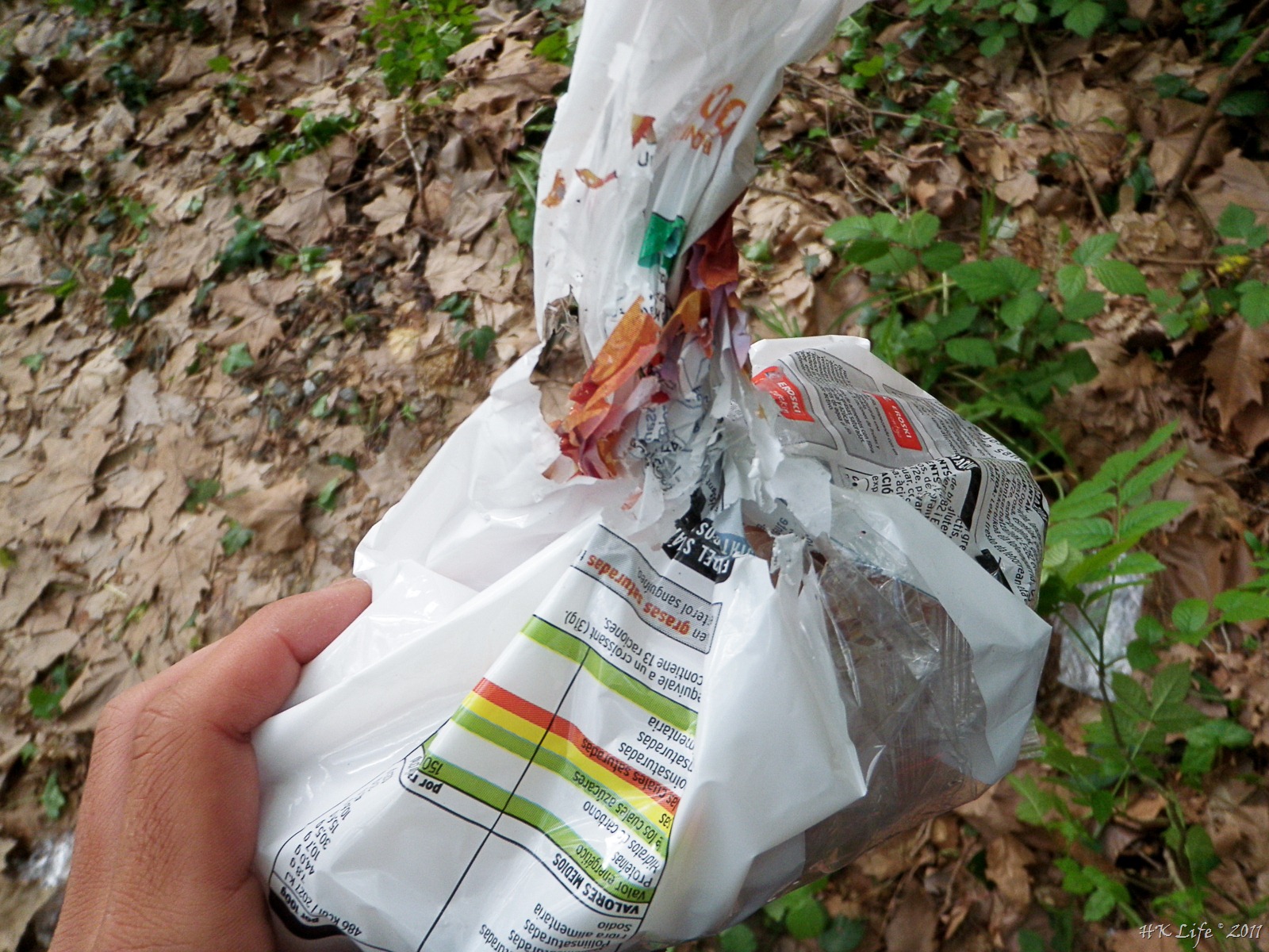 [P4172208%255B3%255D.jpg]