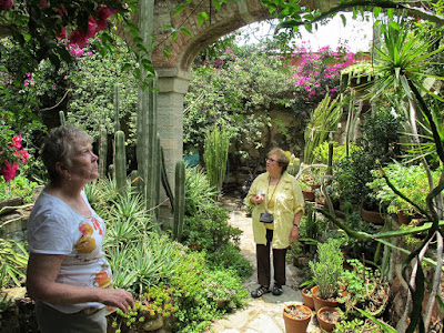 Lorraine and Mary check out the garden