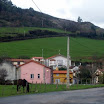 XA293356.JPG