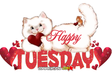 [tuesdaycat%255B3%255D.gif]