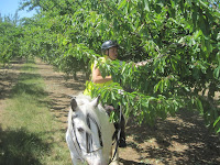 IMG_8441.JPG Photo