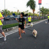 Pet Express Doggie Run 2012 Philippines. Jpg (64).JPG
