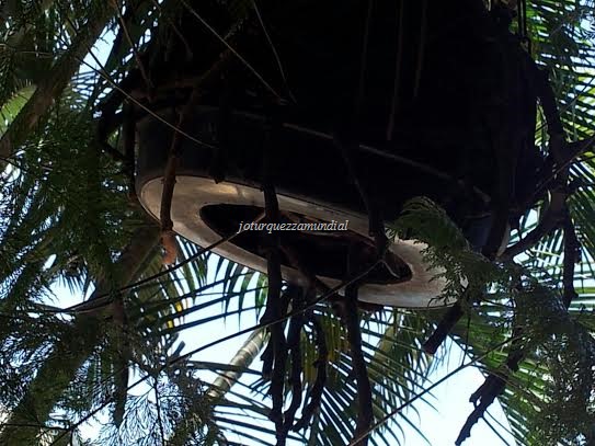 [XAXIM%2520vaso%255B8%255D.jpg]