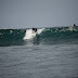 _MG_9065.JPG