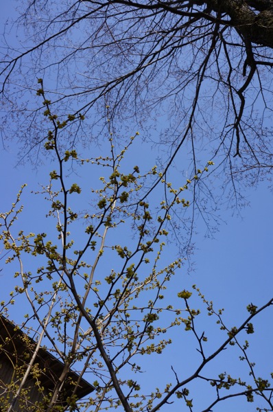 DSC02701