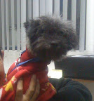 OXXO
NOV-2011