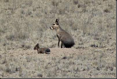 IMG_0753 IMG_0753