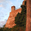P6111468.JPG