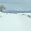 DSC_9910.JPG