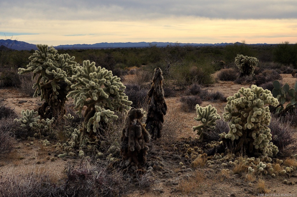 [DSC_0037%255B4%255D.jpg]