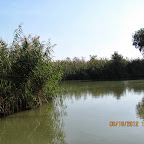 IMG_8017.JPG