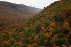Along the Aspy Fault