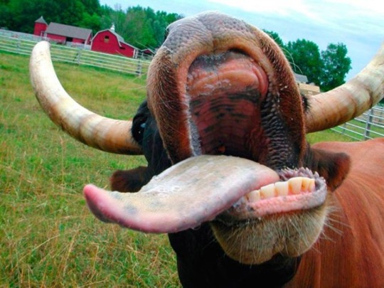 [viral-picdump-pics-bc8153%255B2%255D.jpg]
