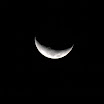 IMG_1153.jpg