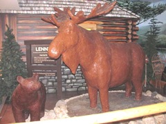 11.2011 Maine scarbourgh bear and moose 11.2011 Maine scarbourgh bear and moose