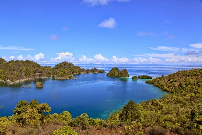 Download this Raja Andat Islands picture Download this Raja Andat Islands picture