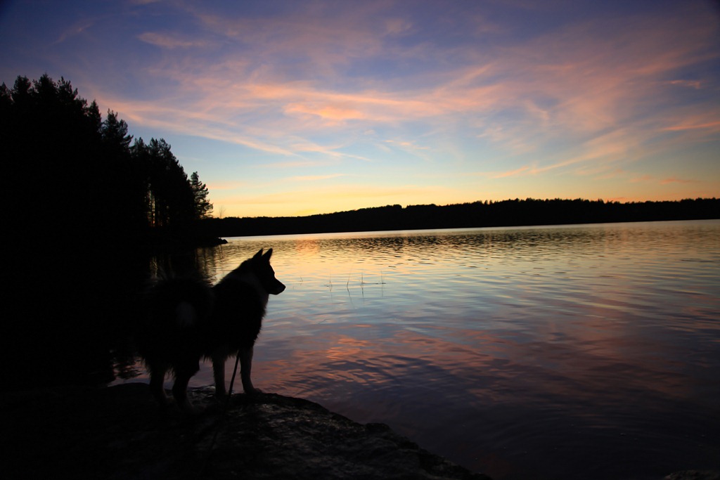 [08nov2011_Ingridtjern_5281%255B5%255D.jpg]