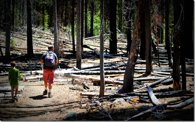 Mt Lassen 457