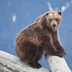 LakeClark-4802.jpg