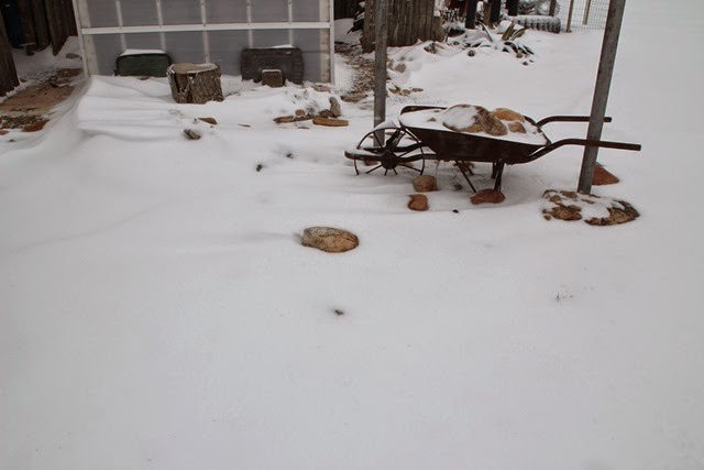 [IMG_4636%255B3%255D.jpg]