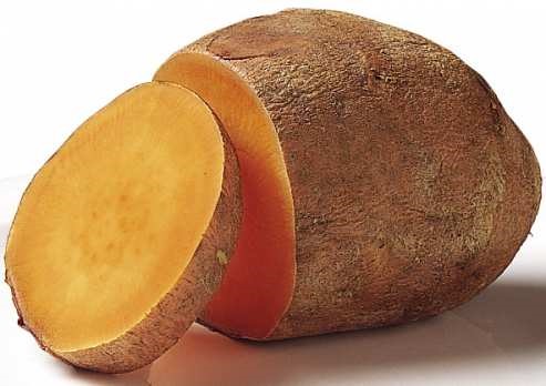 [Sweet-Potato-Nutrition-493x348%255B2%255D.jpg]