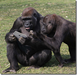 Everyone can use Apple iPad - The Mobile Spoon
