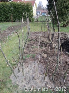 IMG_1039 IMG_1039