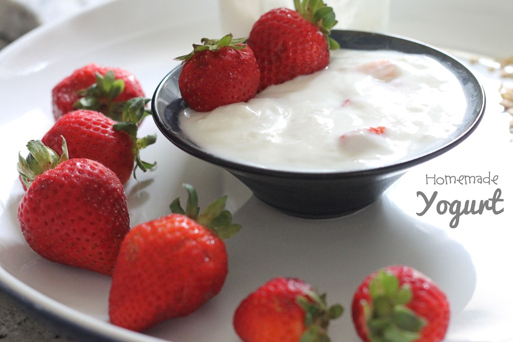 [make_your_own_yogurt%255B11%255D.jpg]