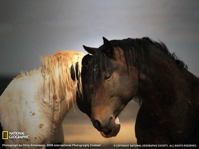 PHOTOS FROM NATIONAL GEOGRAPHIC