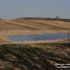 dsc06826.jpg
