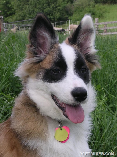 [pic3%255B8%255D.jpg]