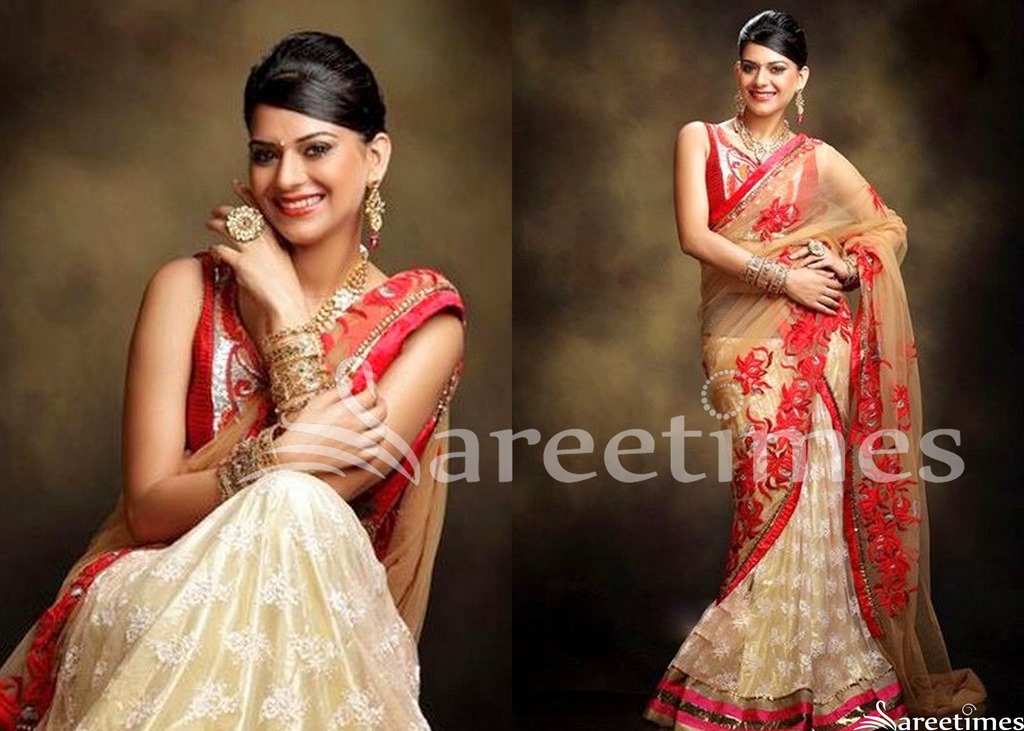 [Poonam_Embroidery_Half_Saree%255B4%255D.jpg]