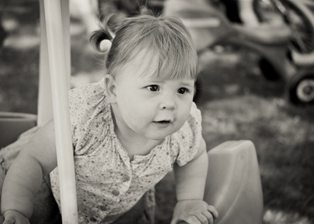 IMG_2307 IMG_2307