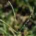 20111001_26