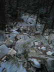 IMG_4870_512.JPG