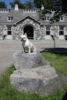 Yes, this is a beautiful granite specimen.  This used to be at the driveway entrance to Martha's Turkey Hill home and when she moved, she liked it so much that she brought it here to Bedford!  It's a perfect mounting block!