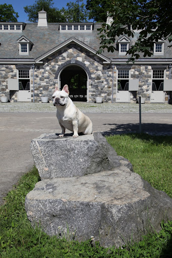Yes, this is a beautiful granite specimen.  This used to be at the driveway entrance to Martha's Turkey Hill home and when she moved, she liked it so much that she brought it here to Bedford!  It's a perfect mounting block!