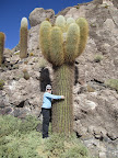Hails hugging a 900 year old cactus - this species only grows 1cm per year.
