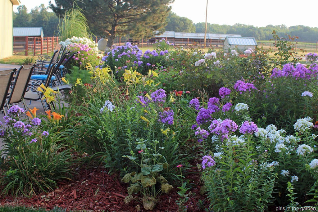 [flowers12%255B7%255D.jpg]