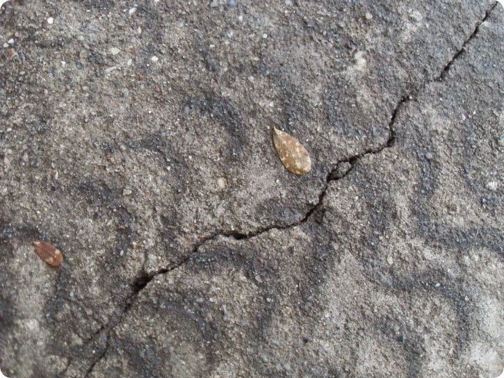 Revne i beton 