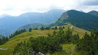 P1110664.JPG Photo
