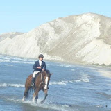 Our Horses