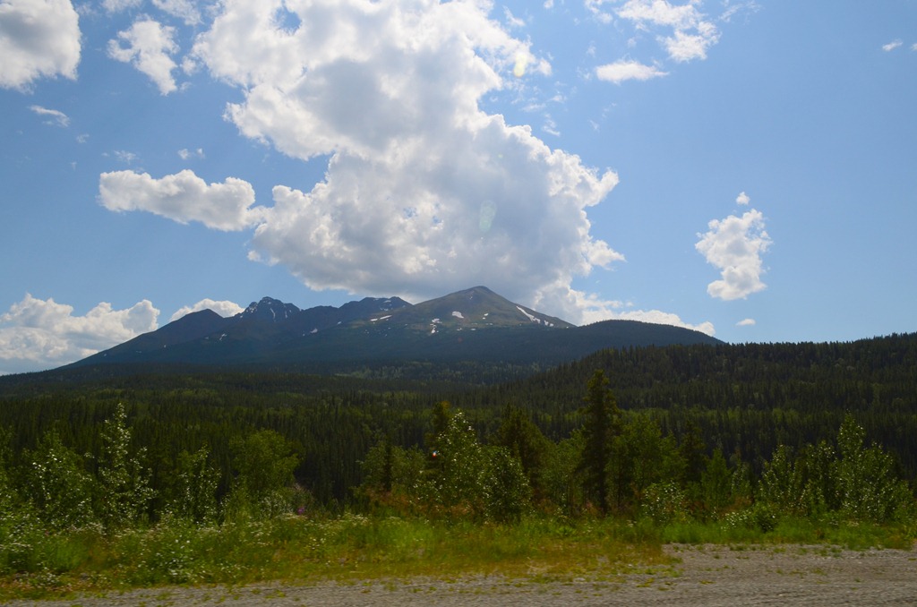 [Cassiar-N--Day-8_9714.jpg]